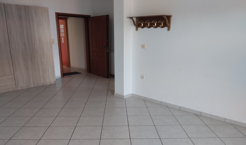ΔΙΑΜΕΡΙΣΜΑ 60 τ.μ. ΚΕΝΤΡΟ, ΛΑΜΙΑ, ΦΘΙΩΤΙΔΑ / ΜΗΝΙΑΙΟ ΜΙΣΘΩΜΑ 250 ΕΥΡΩ/ ΕΝΟΙΚΙΑΣΤΗΚΕ