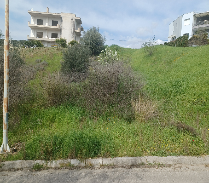 ΟΙΚΟΠΕΔΟ  541 Τ.Μ ΣΤΑ ΡΕΒΕΝΙΑ ΛΑΜΙΑΣ ΤΙΜΗ 60.000 ΕΥΡΩ !!!