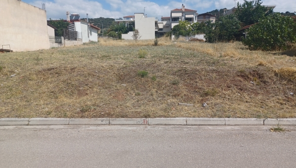 ΟΙΚΟΠΟΕΔΟ  374τ.μ. Λαμία ,ΤΙΜΗ 50000 ΕΥΡΩ!!!