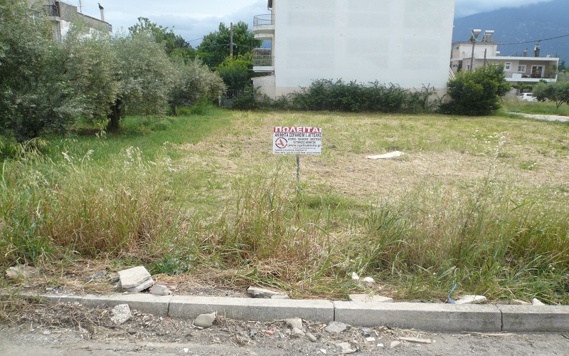 ΟΙΚΟΠΕΔΟ ΣΤΟ ΣΤΑΥΡΟ ΛΑΜΙΑΣ 551 τ.μ 40000 ευρώ ΜΗ ΔΙΑΘΕΣΙΜΟ